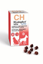 Charger l'image dans la galerie, Hyalophyt MSM Soft Pills 225 g | Articular para perros y gatos