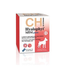 Cargar imagen en el visor de la galería, Hyalophyt Razas Gigantes MSM