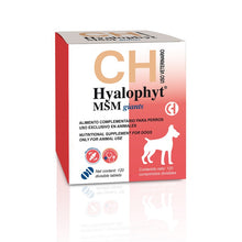 Cargar imagen en el visor de la galería, Hyalophyt Razas Gigantes MSM – Condroprotector Articular para Perros Grandes