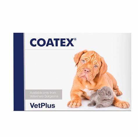 COATEX 240 CAPSULAS