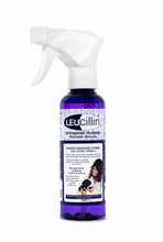 Charger l'image dans la galerie, Leucillin Spray Antiséptico para Perros y Gatos
