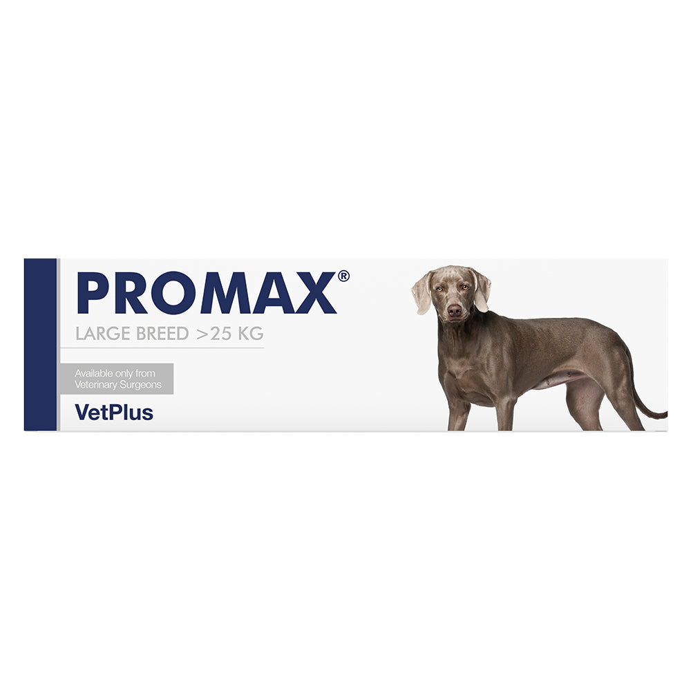 Promax Jeringa Perros Gatos y Conejos + 25 kilos