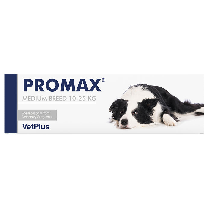 Promax Jeringa Perros Gatos y Conejos  10 - 25 kg