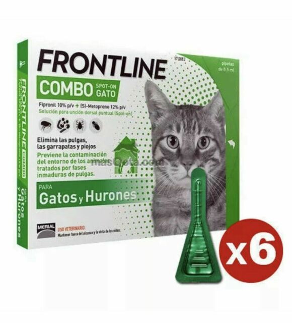 Frontline combo gatos 6 pipetas