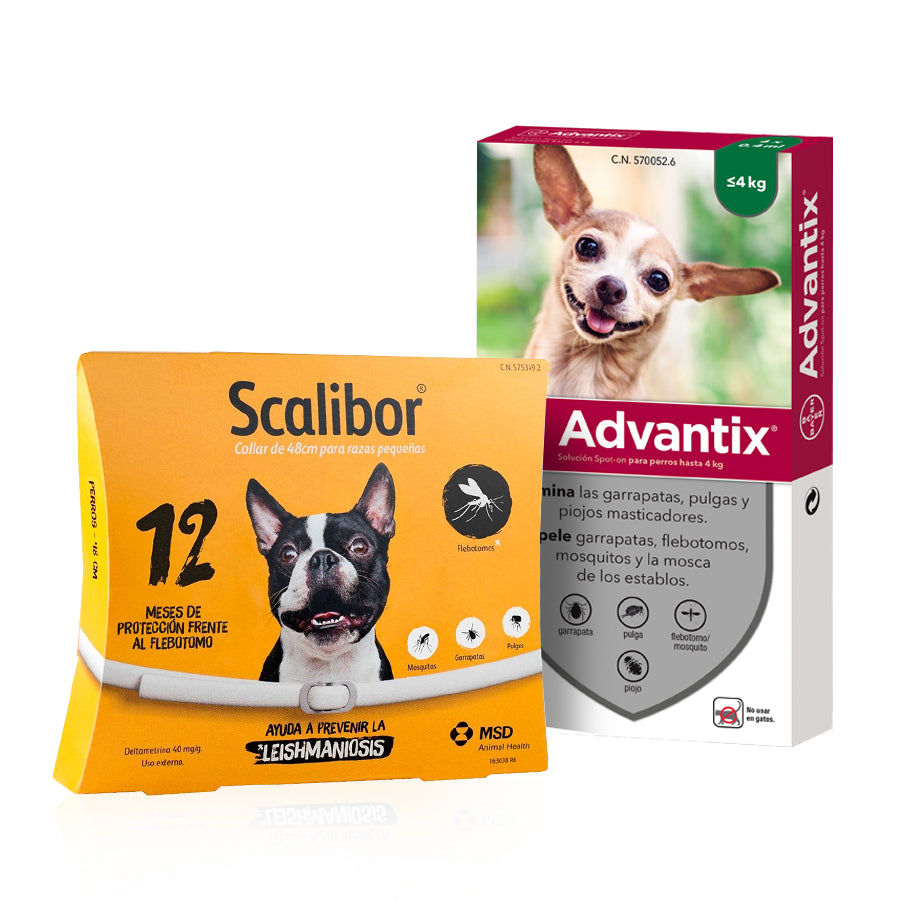 Scalibor 48cm + pipetas Advantix 0-4kg
