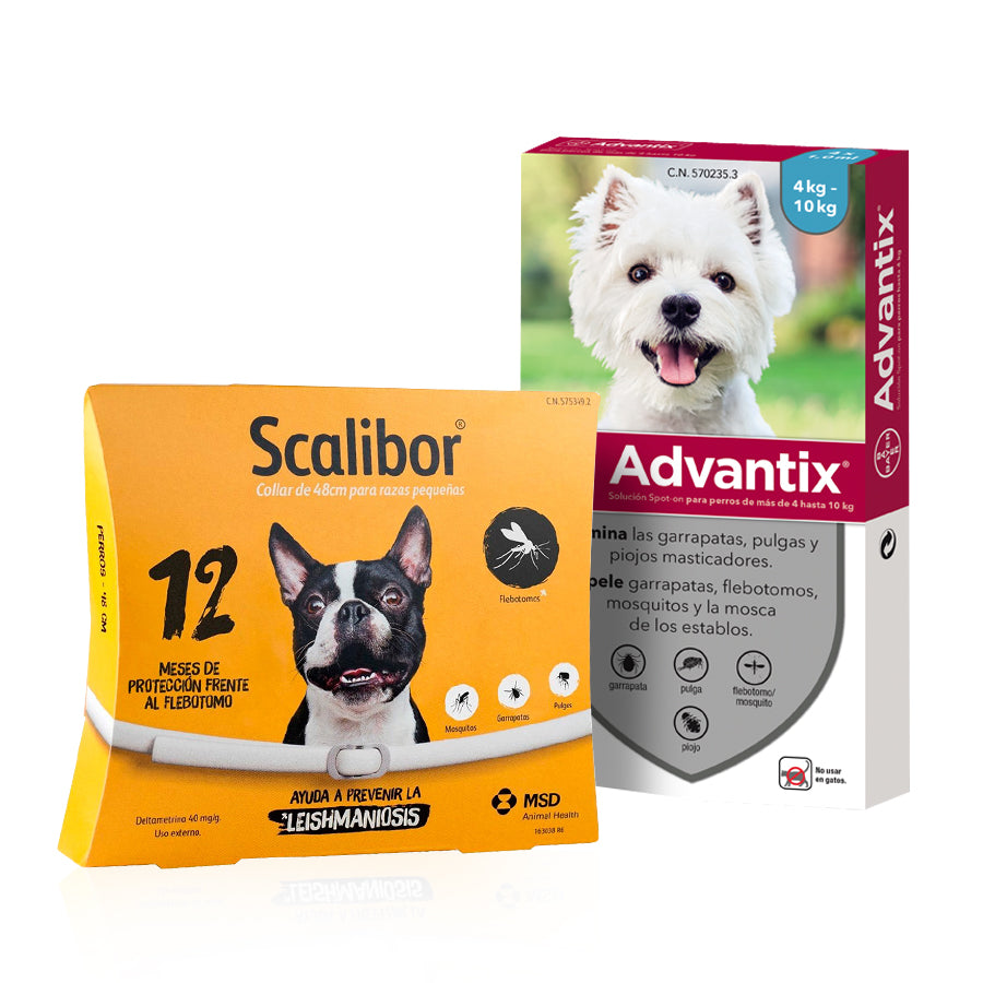 Scalibor 48cm + pipetas Advantix 4-10kg
