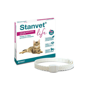 Collar stanvet life gatos