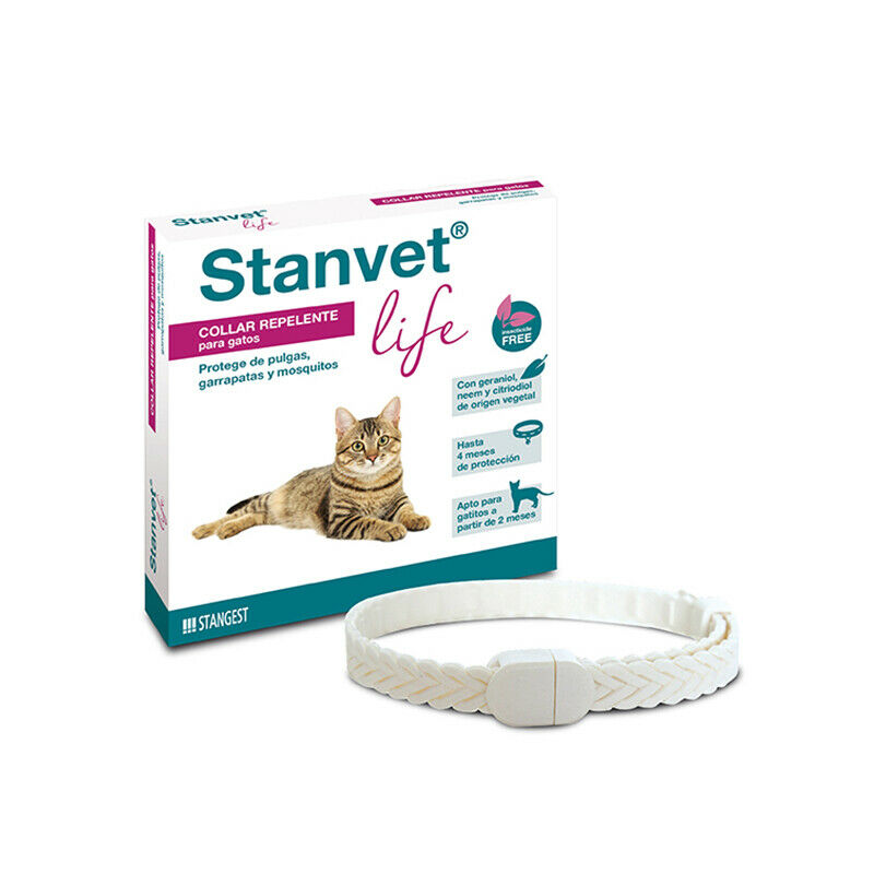 Collar stanvet life gatos