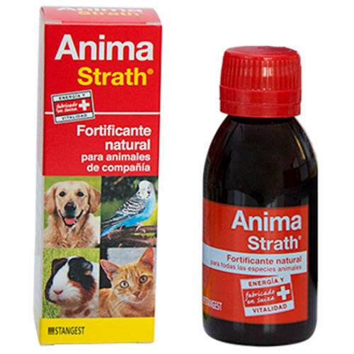 Anima Strath 100 ML